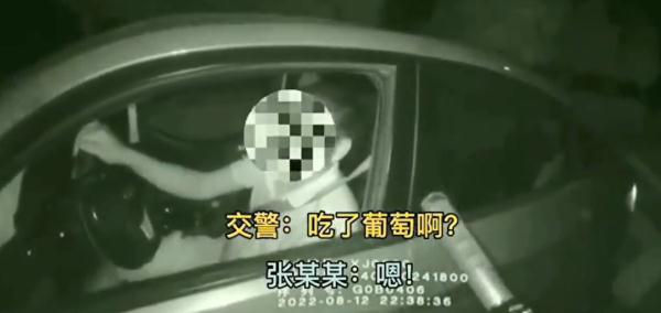 酒駕司機遇查，反復“甩鍋”葡萄稱自己沒喝酒……