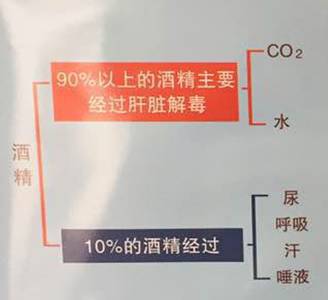 酒后駕駛危害多，你都知道哪些？